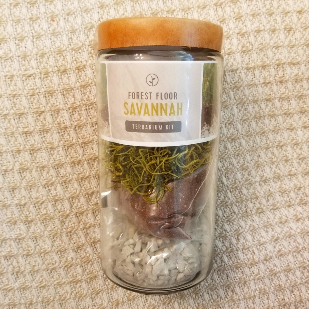 Modern Sprout Terrarium Kit